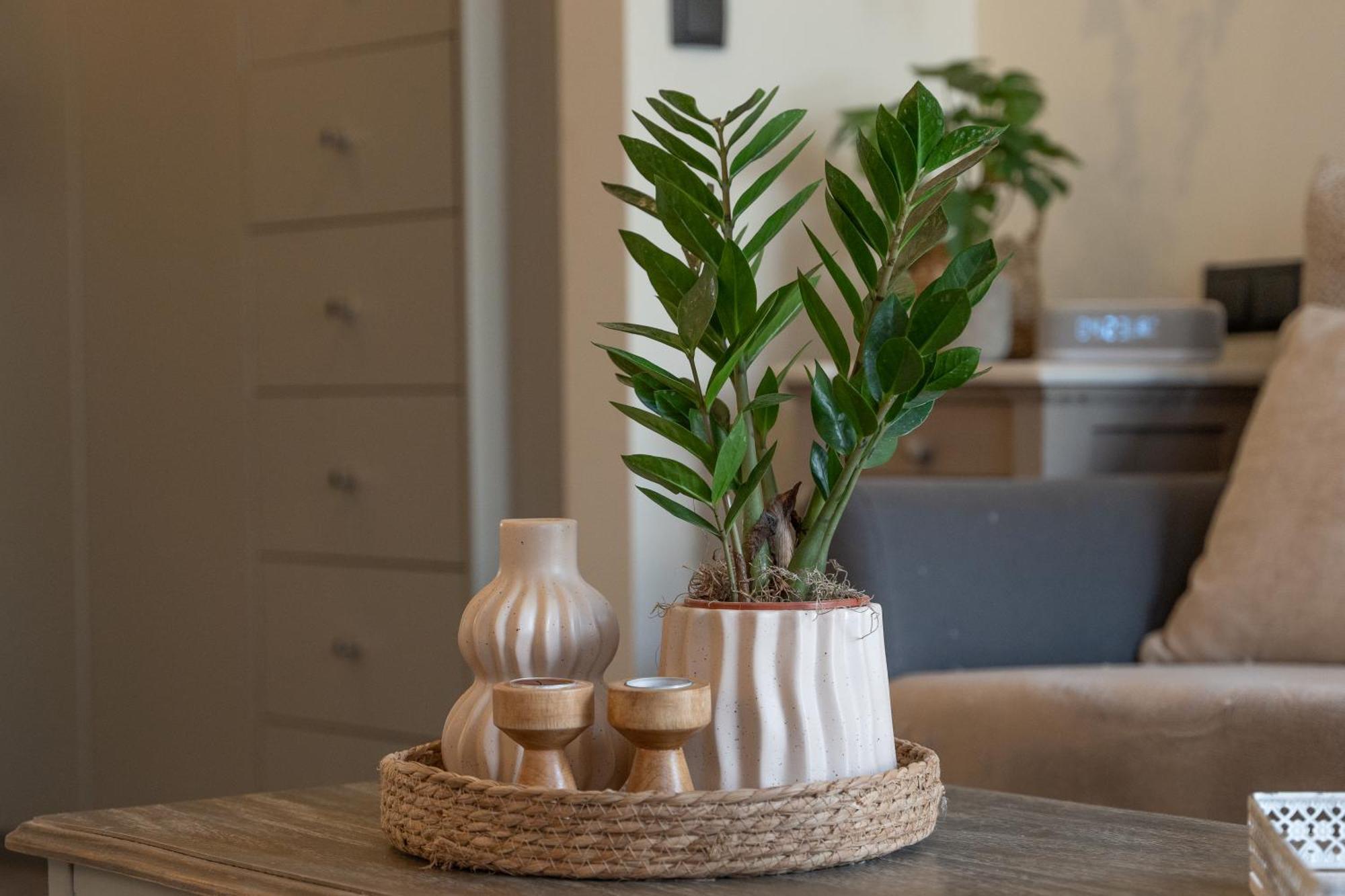 Ixia Home Eksteriør bilde